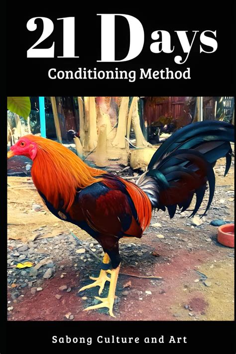 21 days conditioning guide|21 Days Conditioning Method by Sabong Culture and Art.